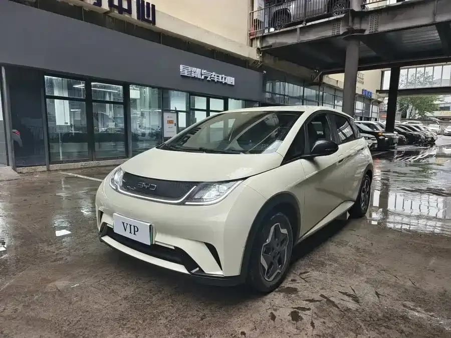 BYD Dolphin, 2024 модельный год, электромобиль (95 л.с.), передний привод, 420 км