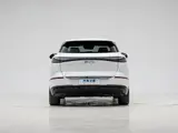 Sea Lion 06 EV 2025 605 Navigator Plus Edition, Задний привод 6