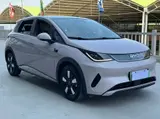 BYD Dolphin, 2025 модельный год, электромобиль (177 л.с.), передний привод, 410 км 2