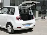 Changan Qiyuan Lumin 2026 Treasure Edition 205KM Xinaimi (Guoxuan) 10