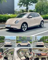 ORA Good Cat, 2023 модельный год, 401 км, электромобиль (143 л.с.), автоматическая, передний привод 18